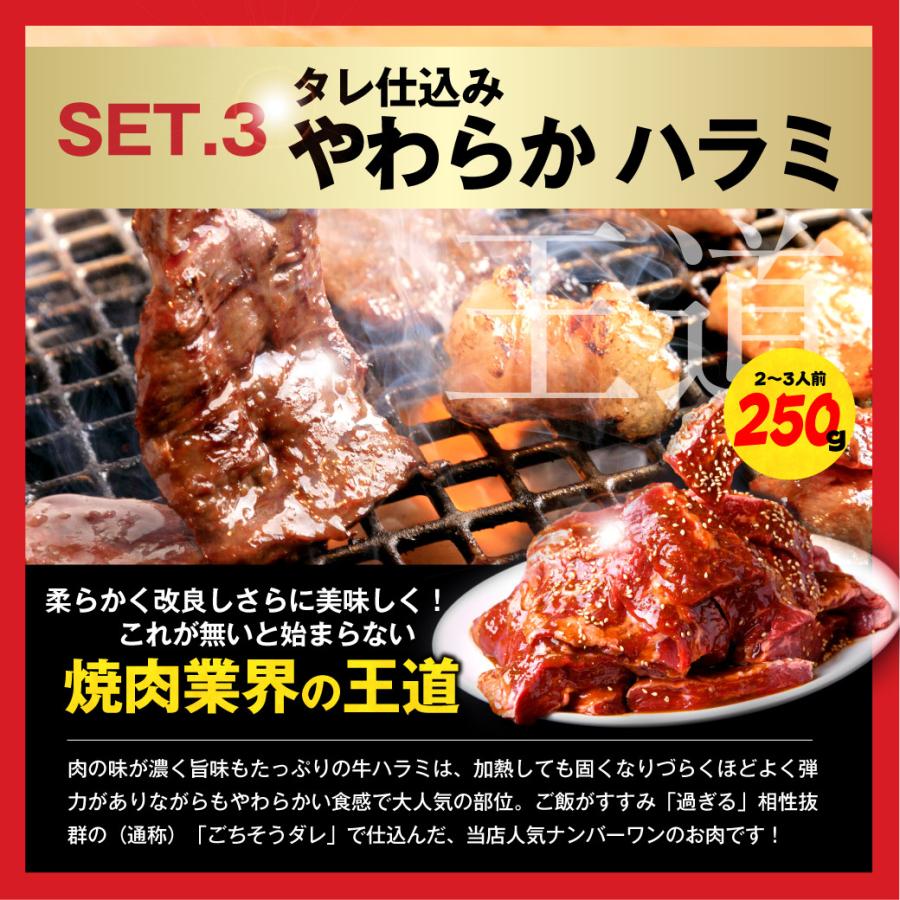 父の日 福袋 焼肉 bbq セット ニクミッツ福袋 メガ盛り 750g 牛 牛肉 焼肉セット バーベキューセット BBQセット  送料無料 キャンプ飯｜ushi3｜04