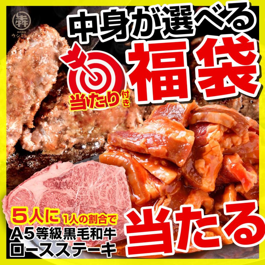 父の日 ＼ステーキが当たる／ 選べる 福袋 牛肉 焼肉 焼肉セット BBQ バーベキュー　バーベキューセット 1kg 以上 メガ盛り 送料無料 キャンプ飯｜ushi3｜02