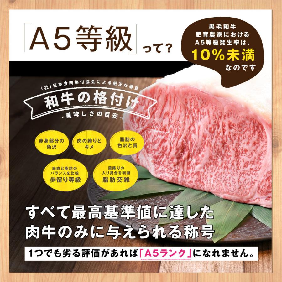 ハンバーグ 牛肉 3個セット 黒毛和牛 プレミアム こだわり 焼くだけ 時短 送料無料商品と同梱で送料0円 :hamburg-999:精肉問屋 犇 ウシミッツ - 通販 - Yahoo!ショッピング ハンバーグ 牛肉 3個セット 黒毛和牛 プレミアム こだわり 焼くだけ 時短 送料無料商品と同梱で送料0円 :hamburg-999:精肉問屋 犇 ウシミッツ - 通販 - Yahoo!ショッピング