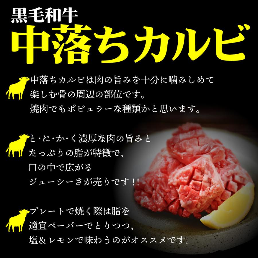 焼肉 牛肉 肉 訳あり A5 黒毛和牛 中落ちカルビ 750g カルビ BBQ バーベキューセット BBQセット｜ushi3｜02