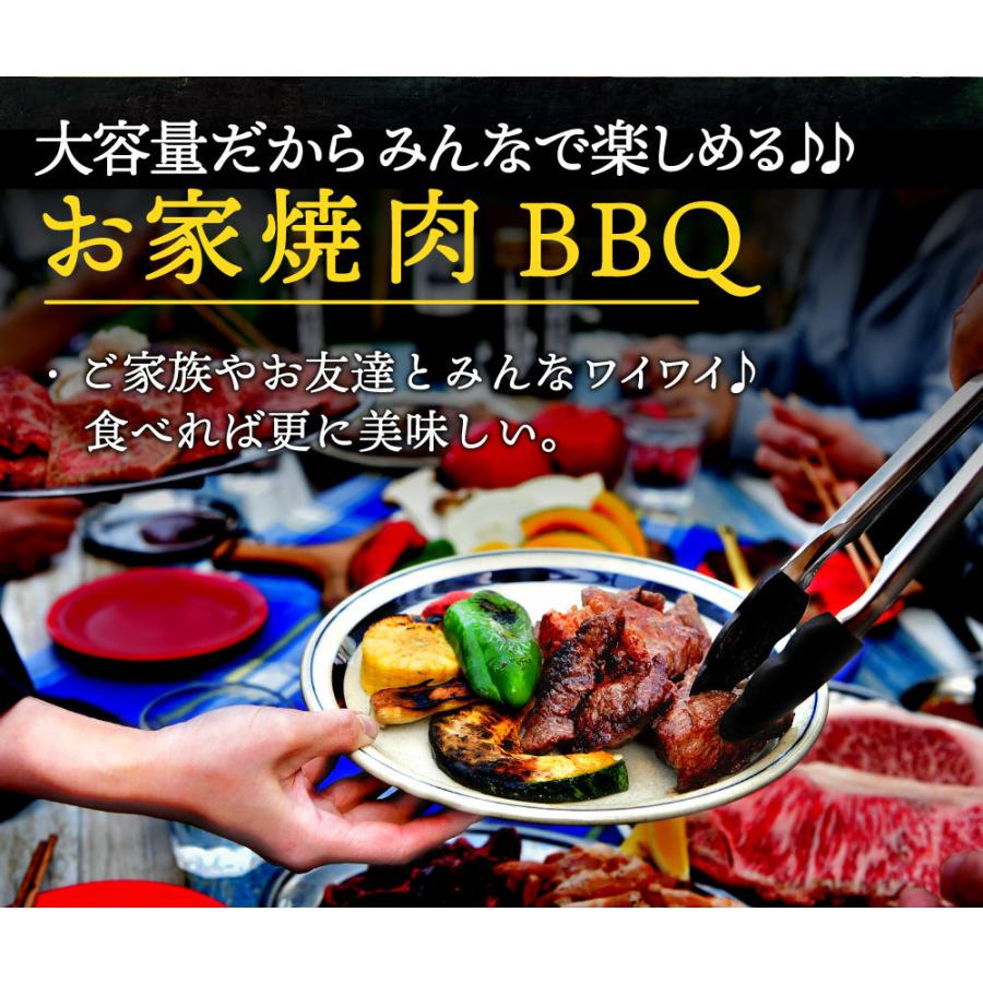 父の日 カルビ 焼肉 BBQ 牛肉 肉 スタートBOX 1.2kg ハラミ ホルモン お手軽 焼肉セット バーベキューセット BBQセット キャンプ飯｜ushi3｜10