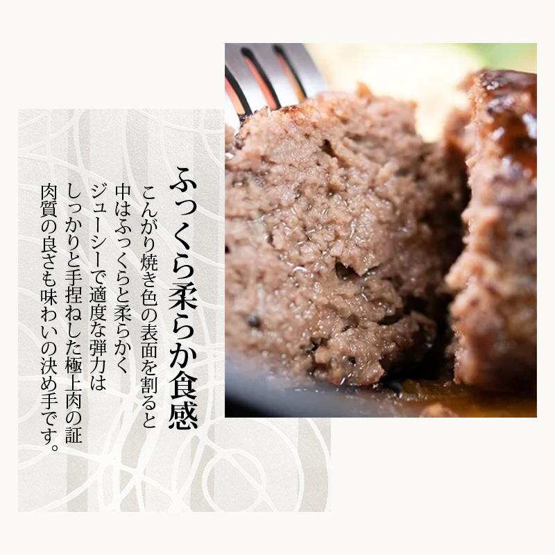 冷凍 惣菜 ハンバーグ 大和榛原牛 大和美豚 手造りハンバーグ 130g&times;5個入り 送料無料 冷凍便 爆買