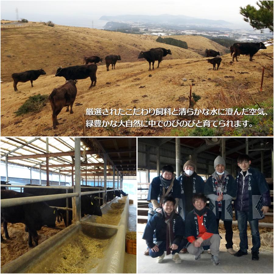 ギフト 牛肉 黒毛和牛 A5 大和榛原牛 “雅（みやび）” 牛たたき 風 レア ステーキ ギフト化粧箱入 450g 内祝い 御礼 プレゼント 送料無料 爆買 | うし源本店 | 10