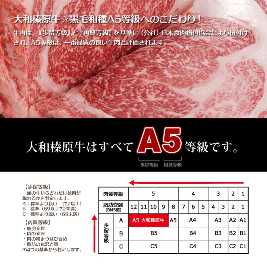 お試し 牛肉 黒毛和牛 A5 大和榛原牛 すき焼き セット （クラシタスライス 200g + シンタマスライス 350g） 送料無料 冷凍便 爆買 | うし源本店 | 04