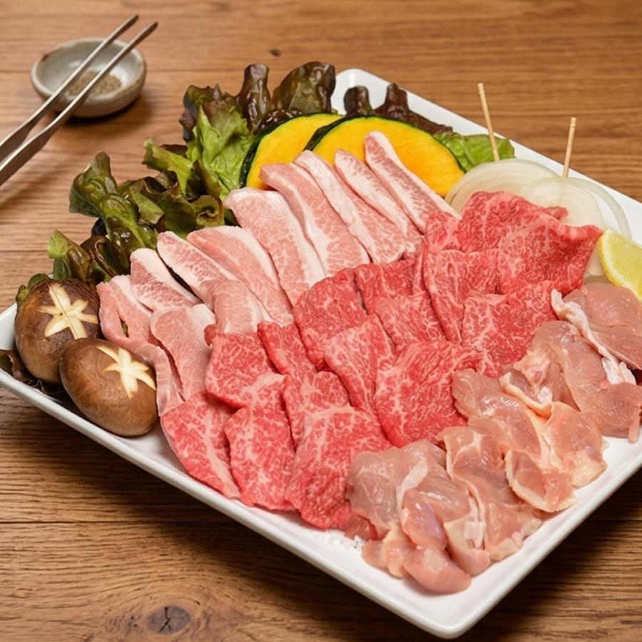 牛肉 32%OFF 黒毛和牛 A5 焼肉 お試しセット 大和榛原牛 カルビ 200g ＋ 大和美豚 豚とろ 150g ＋ 桜島どり モモ肉 150g 送料無料 | うし源本店 | 01