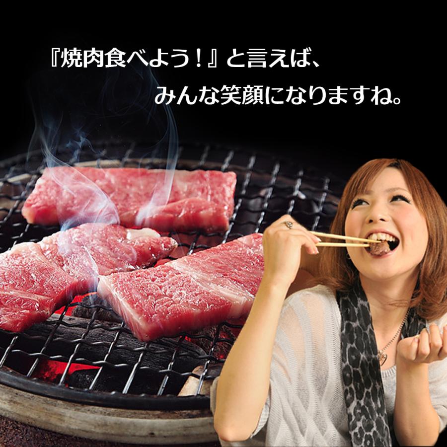牛肉 32%OFF 黒毛和牛 A5 焼肉 お試しセット 大和榛原牛 カルビ 200g ＋ 大和美豚 豚とろ 150g ＋ 桜島どり モモ肉 150g 送料無料 | うし源本店 | 02