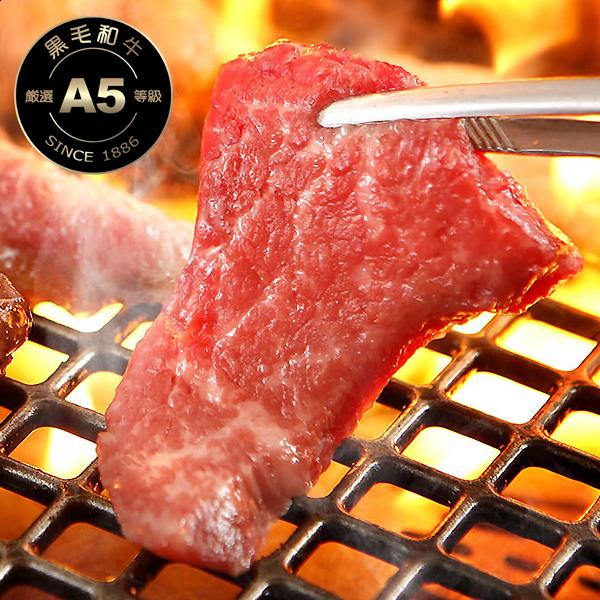 牛肉 32%OFF 黒毛和牛 A5 焼肉 お試しセット 大和榛原牛 カルビ 200g ＋ 大和美豚 豚とろ 150g ＋ 桜島どり モモ肉 150g 送料無料 | うし源本店 | 03