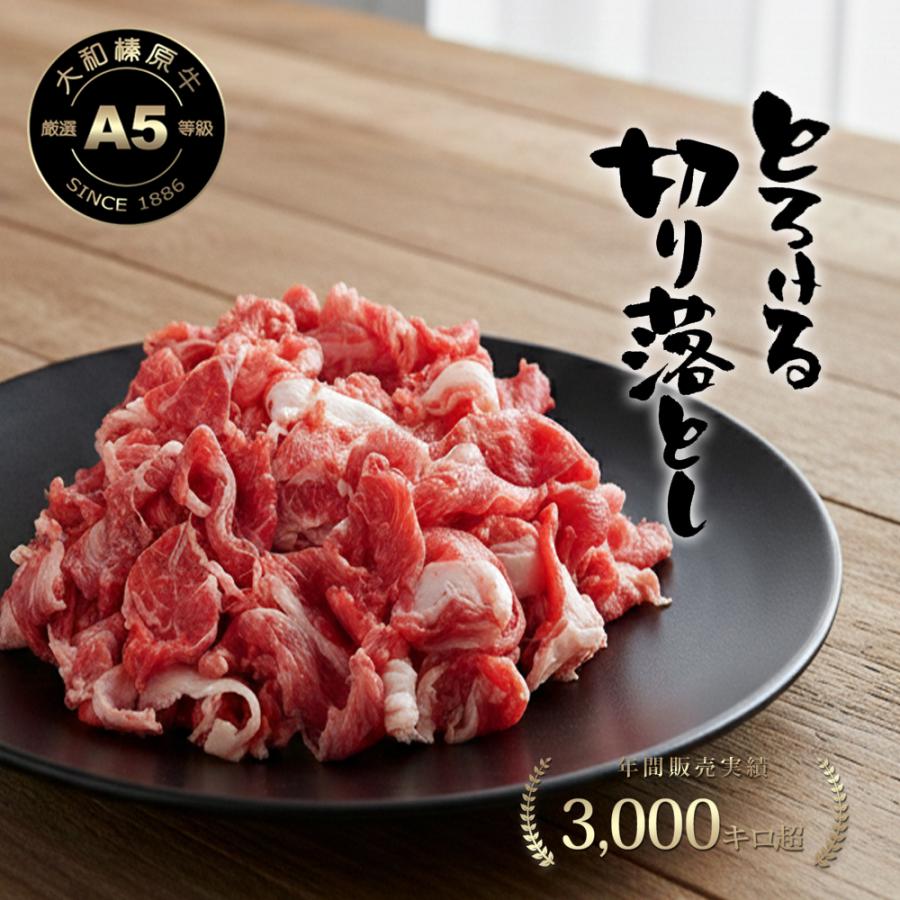 本日のお買得品 お試し 牛肉 肉 切り落とし 黒毛和牛 大和榛原牛 A5 とろける 切り落とし 500g  送料無料 | うし源本店