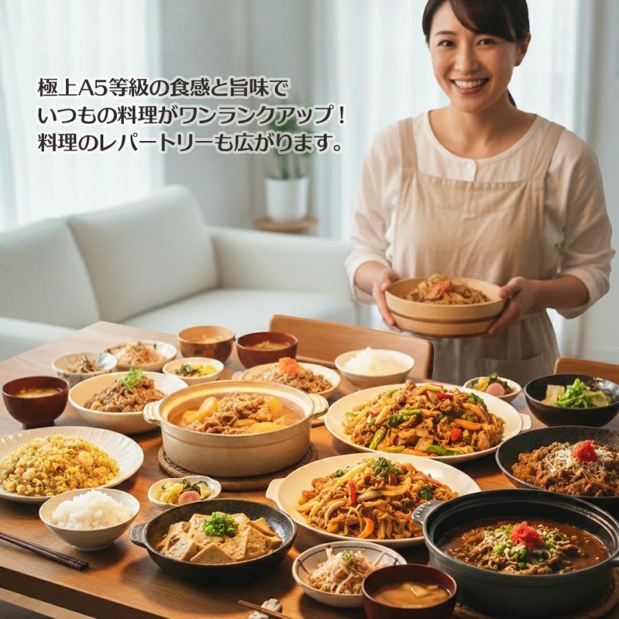 本日のお買得品 お試し 牛肉 肉 切り落とし 黒毛和牛 大和榛原牛 A5 とろける 切り落とし 500g  送料無料 | うし源本店 | 02