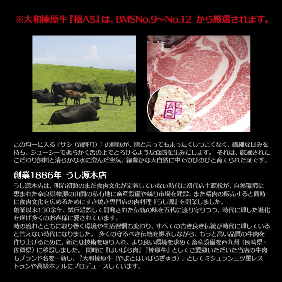 おせち ぐるめ重 大和榛原牛プレミアムローストビーフ 250g と “雅ステーキ”牛たたき風 300g の二段お重セット 送料無料 寿 ローストビーフ 国産 爆買_7