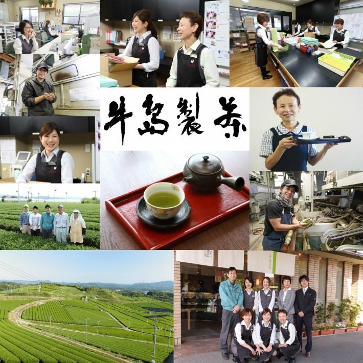 牛島製茶 【2026年八女新茶】日本茶 緑茶 深蒸し茶 八女茶 煎茶 定庵