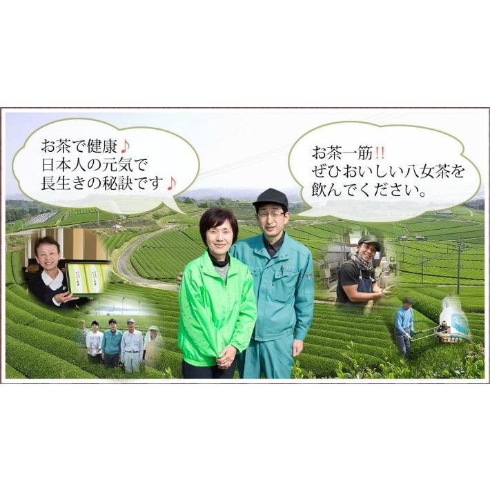 牛島製茶 【2026年八女新茶】日本茶 緑茶 深蒸し茶 八女茶 煎茶 定庵