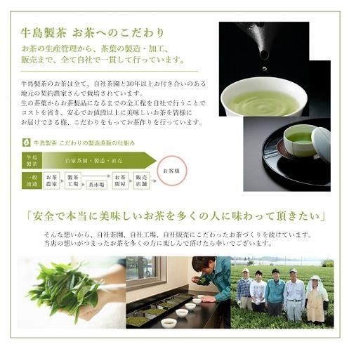 深蒸し茶 送料無料 八女茶 秋旬彩 10本まとめ買い1本プラス 日本茶 茶葉 煎茶｜ushijimaseicha397｜04