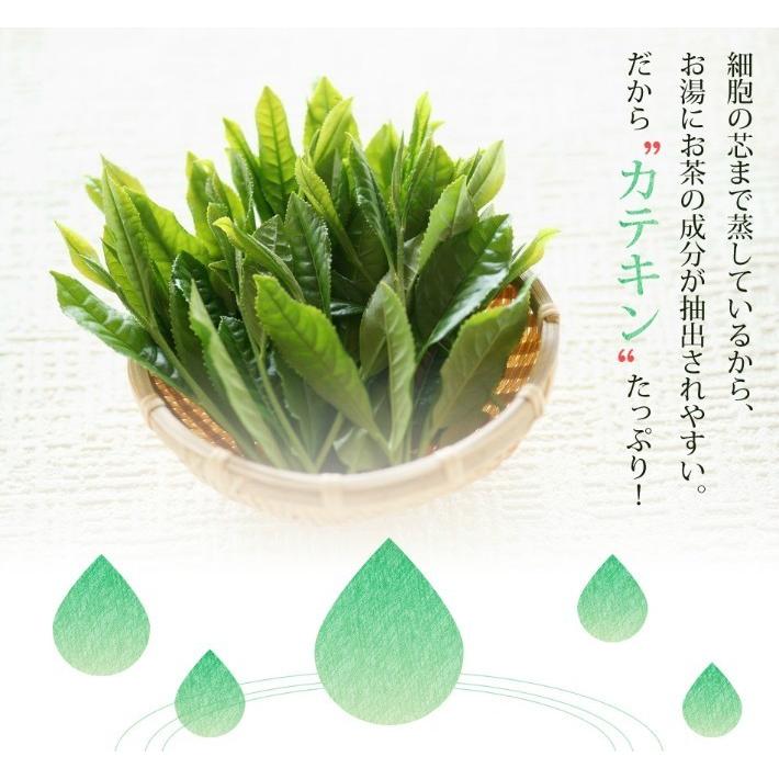 【2024年新茶】日本茶 煎茶 緑茶 定庵よろこび ５本組+１本 深蒸し茶 八女茶 茶葉｜ushijimaseicha397｜05