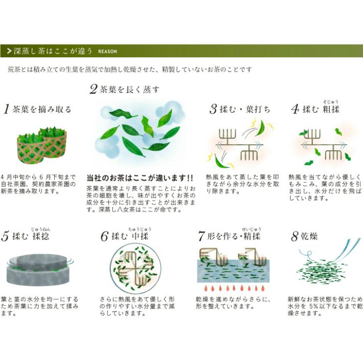 【2024年新茶】日本茶 煎茶 緑茶 定庵よろこび ５本組+１本 深蒸し茶 八女茶 茶葉｜ushijimaseicha397｜10