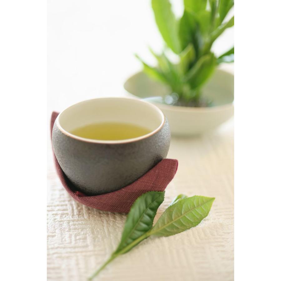 牛島製茶 日本茶 お茶 水出し ティーバッグ 緑茶 八女茶 深蒸し茶 煎茶