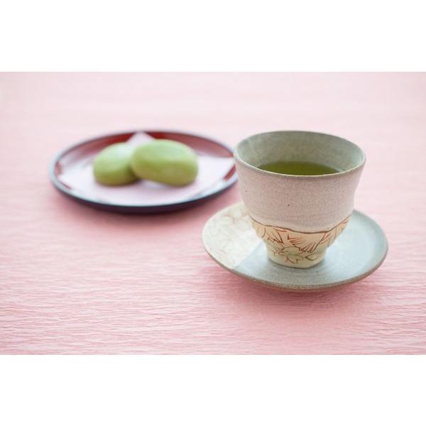 【H-38】日本茶 ギフト 茶 八女茶 春待ち煎茶と春待ち白折 100g3本ギフト｜ushijimaseicha397｜04