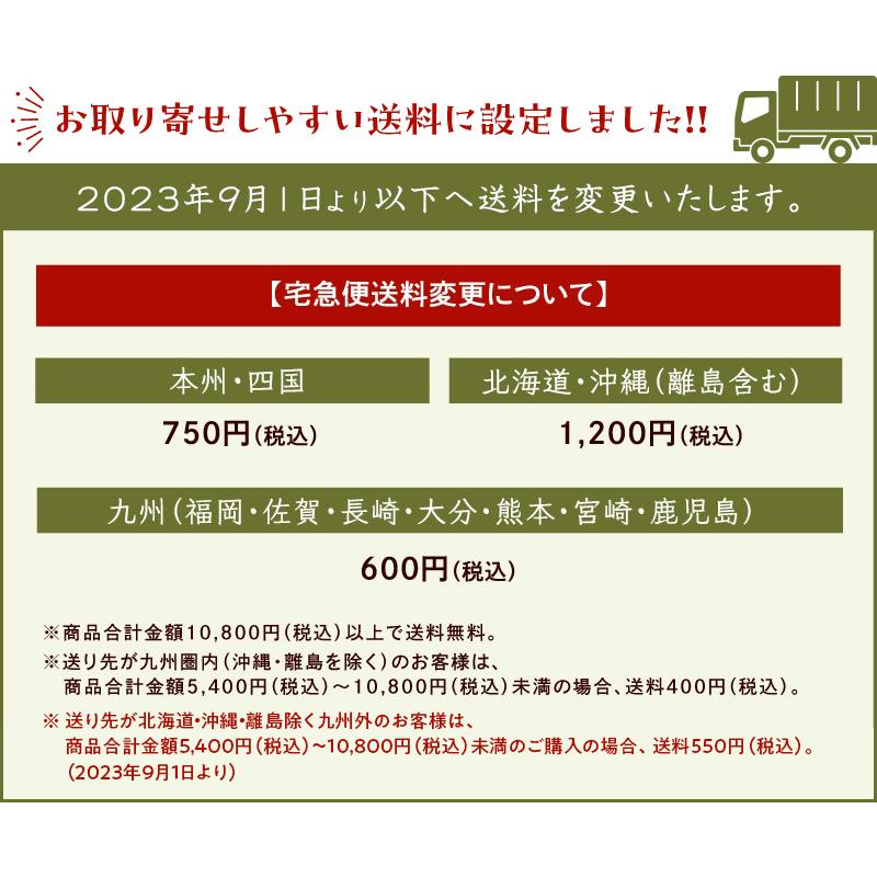 【2024年新茶予約☆発送は5月7日以降】八女茶 粉茶 日本茶 新茶粉茶100ｇ 緑茶 急須 茶葉｜ushijimaseicha397｜13