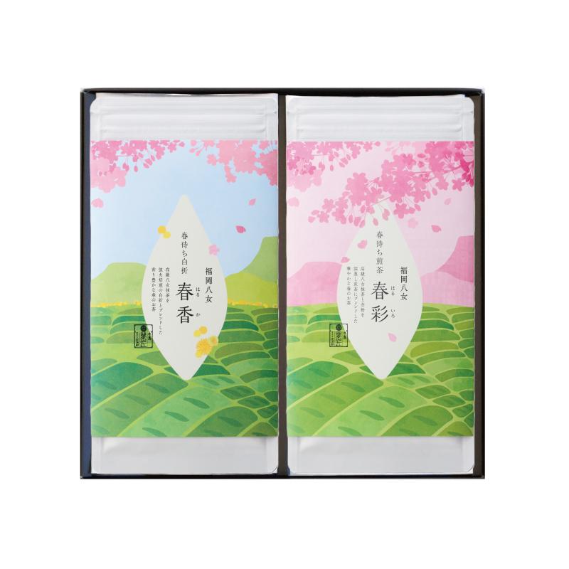 牛島製茶 【H-36】日本茶 ギフト 煎茶 金粉 八女抹茶入り煎茶 春彩