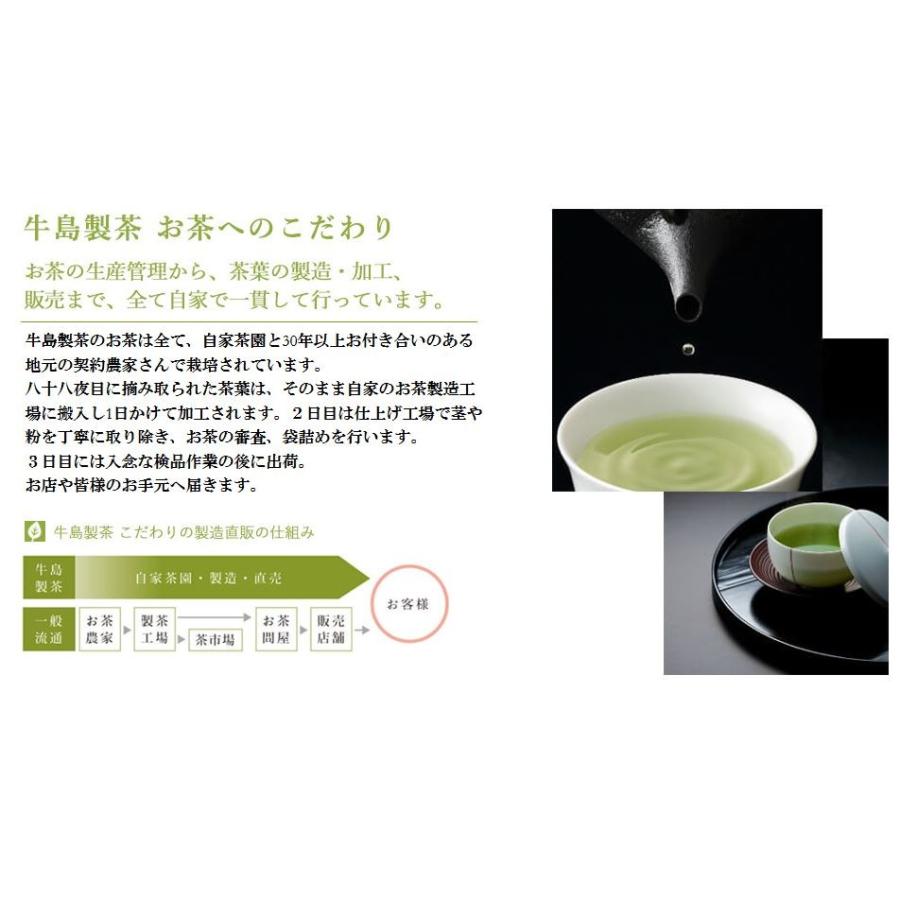 牛島製茶 【2026年八女新茶】八女茶 日本茶 八女おくみどり 80g 煎茶