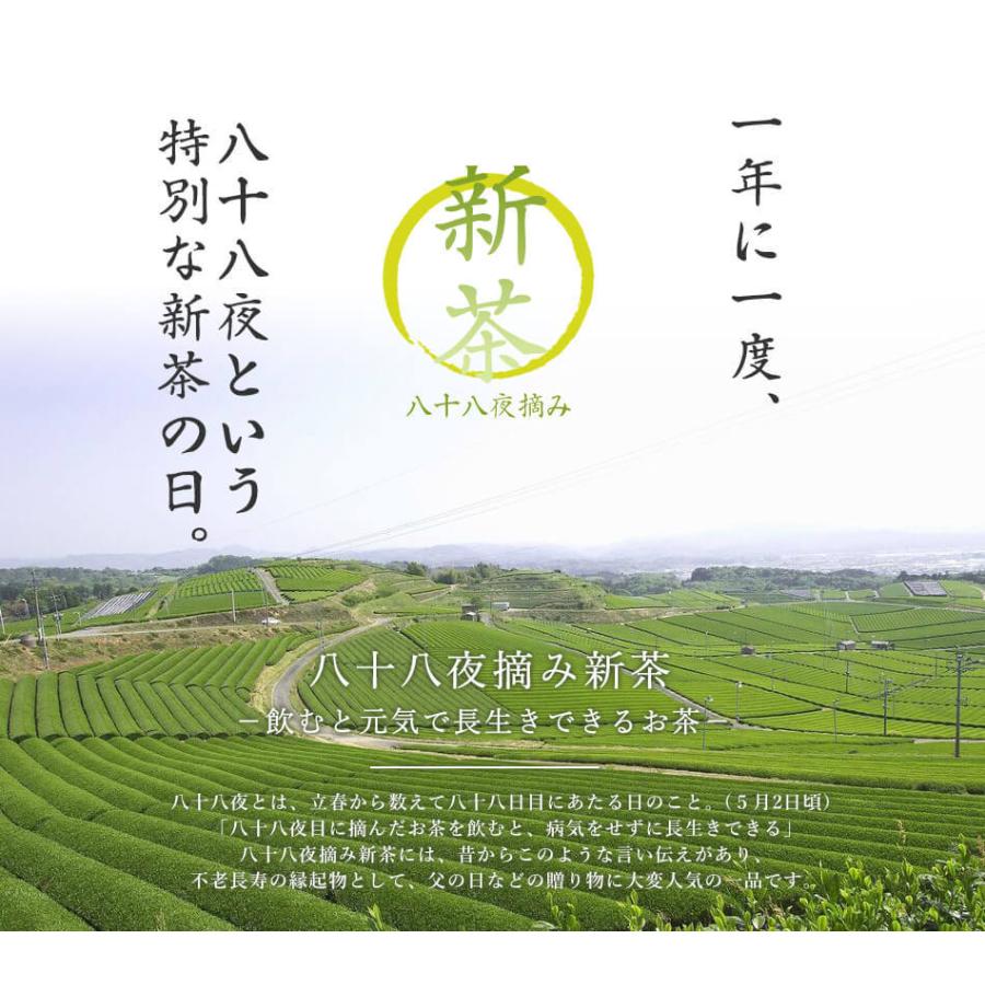 牛島製茶 【2026年八十八夜新茶☆発送は5月6日以降】【H-22】母の日 父