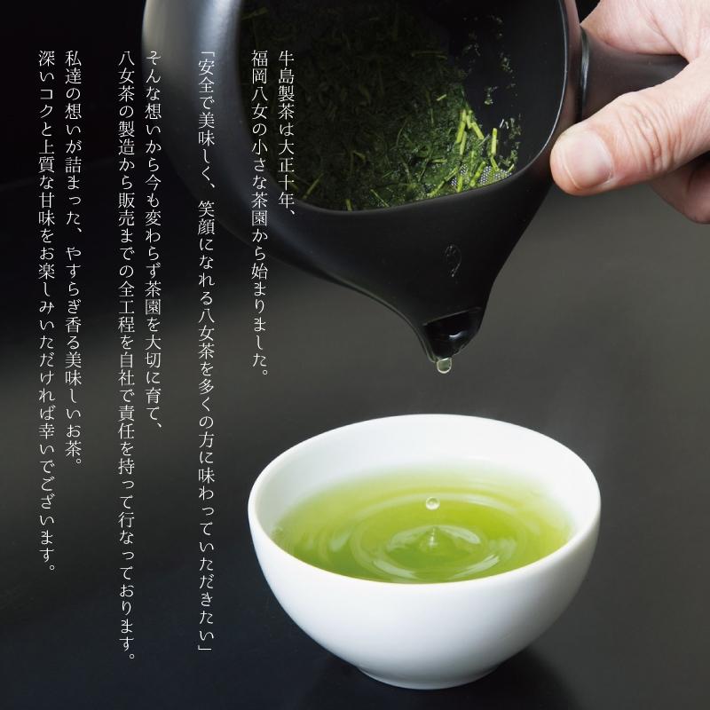 牛島製茶 【2026年新茶ギフト】【W-10】お歳暮 八女茶 緑茶 深蒸し茶