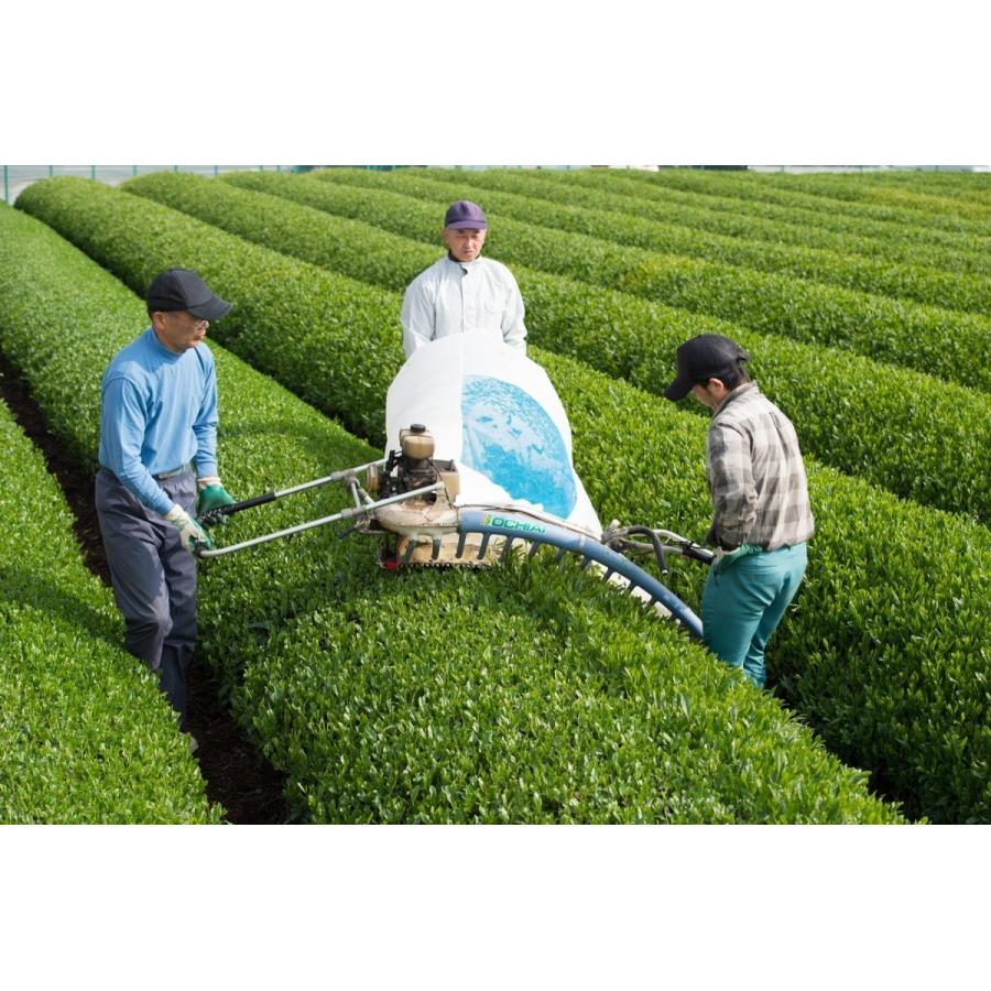 八女茶 お茶 ギフト 玉露 日本茶 ほうじ茶 緑茶 番茶 茶葉 詰め合わせ セット 3袋入り 牛島製茶｜ushijimaseicha397｜04