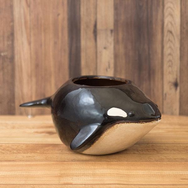 セラミックプランター フラワーポット シャチ プランター 植木鉢 おしゃれ 観葉植物 鉢 植物 屋外 室内 鉢植え インテリア ガーデニング 多肉植物 ユーモラス |  | 01