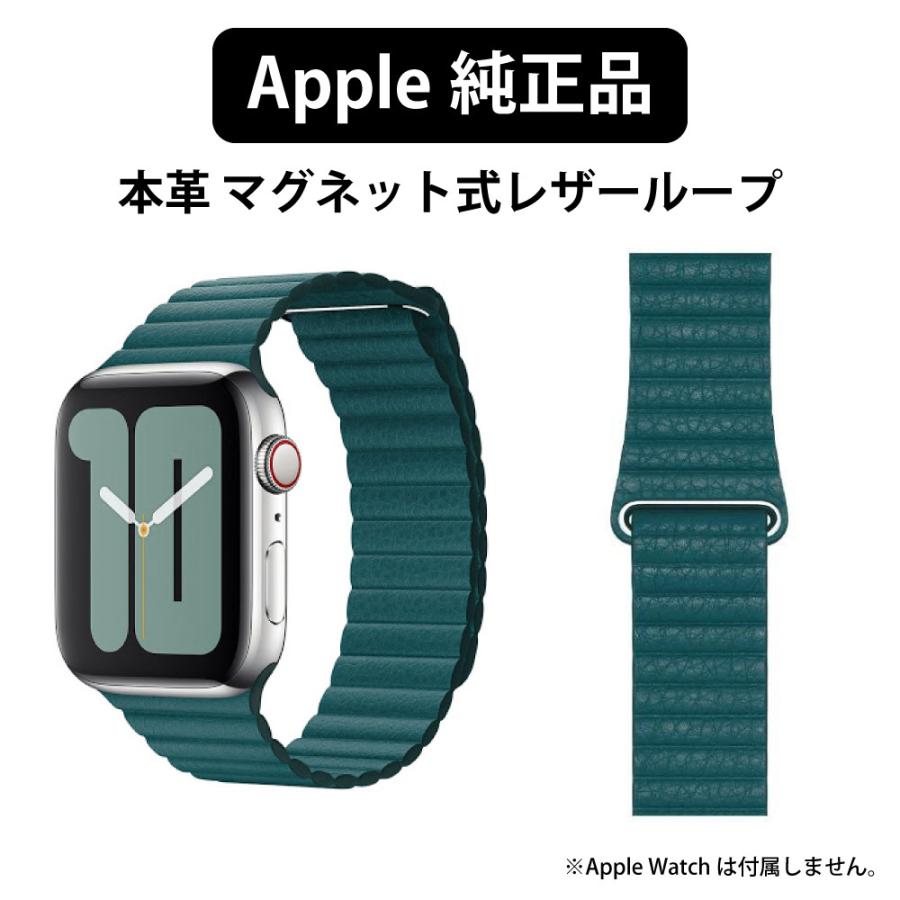 Apple Watch バンド 45mm ケースセット アップルウォッチ 緑