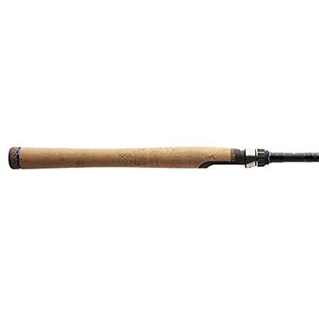 Dobyns Rods チャンピオンシリーズ 705sf チャンピオンシリーズ 7フィート0インチ Rods Usマートのdobyns