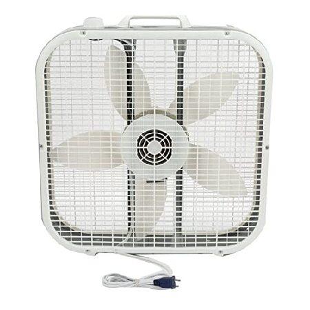 限定特価】Lasko 20 Inch by Lasko Box Fan 空調設備 | podcast.ethicshouse.ir