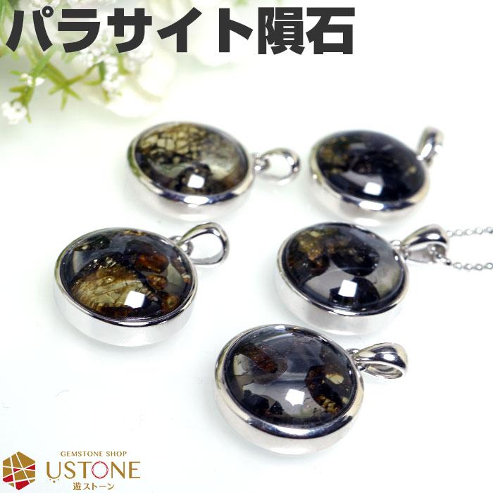 パラサイト隕石 ペンダントヘッド パラサイト隕石 ペンダントトップ 37mm #NN035 - プレミアム