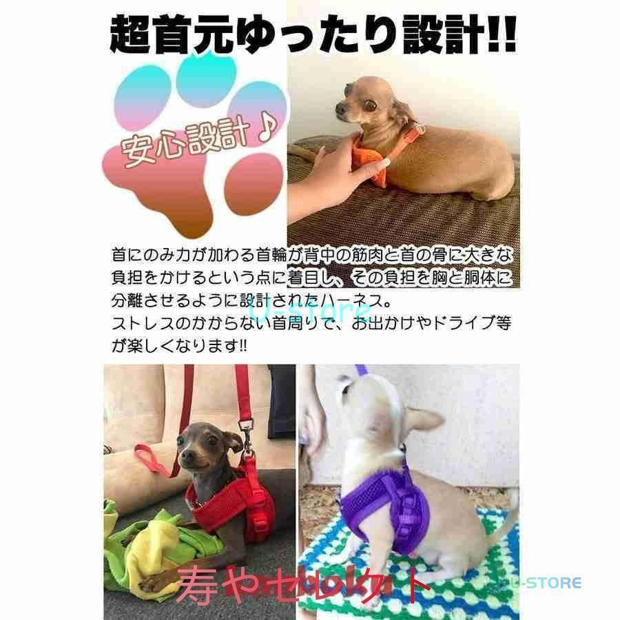 人気ブランドの新作 犬ハーネスリード付ペット服ウェアハーネス胴輪キャットドッグメッシュ www.fotoeleven.com 人気ブランドの新作 犬ハーネスリード付ペット服ウェアハーネス胴輪キャットドッグメッシュ www.fotoeleven.com