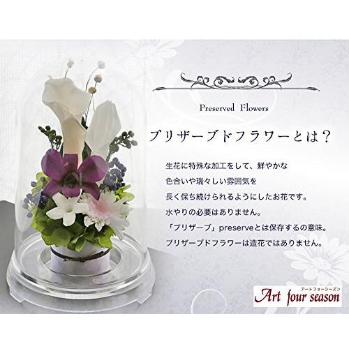 65 Off 送料無料 アートフォーシーズン グレープ プリザーブドフラワー お供え花2カラー その他キッチン 日用品 文具 Www 11thspace Com