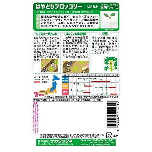 サカタのタネ 実咲野菜2501 はやどりブロッコリー ピクセル 00922501|usualplus1|02