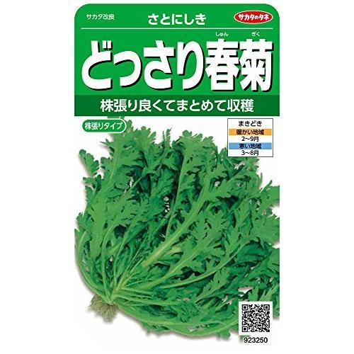 在庫限り サカタのタネ 実咲野菜3250 どっさり春菊 さとにしき