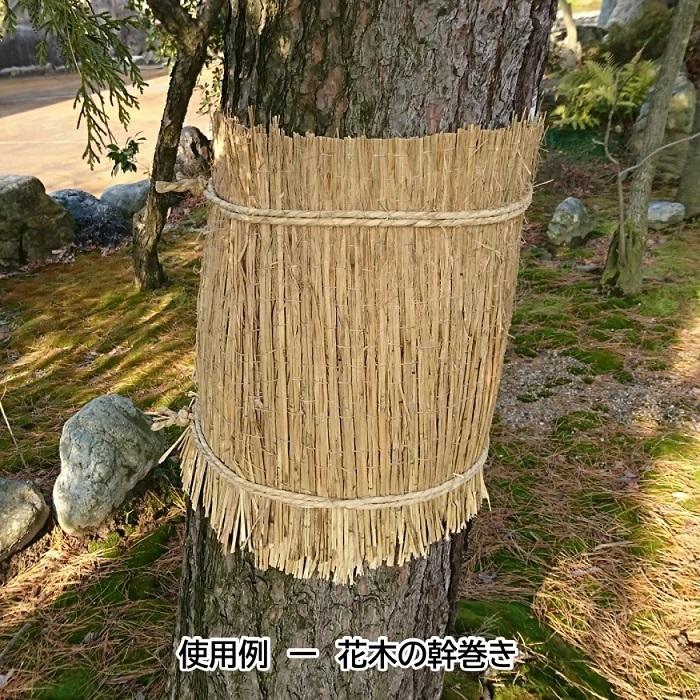 わら菰（約105cm×約180cm）こも巻 根巻 幹巻 菰 コモ むしろ こもむしろ 冬囲い : 臼井農畜産Yahoo!店 - 通販 ...