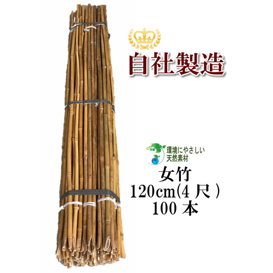 女竹 120cm 100本 篠竹 天然竹 竹支柱 添え木 園芸用 農業用 女竹 120cm 100本 篠竹 天然竹 竹支柱 添え木 園芸用 農業用