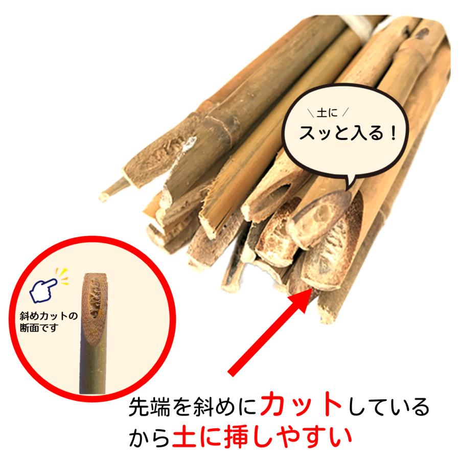 女竹 120cm 100本 篠竹 天然竹 竹支柱 添え木 園芸用 農業用 定植時