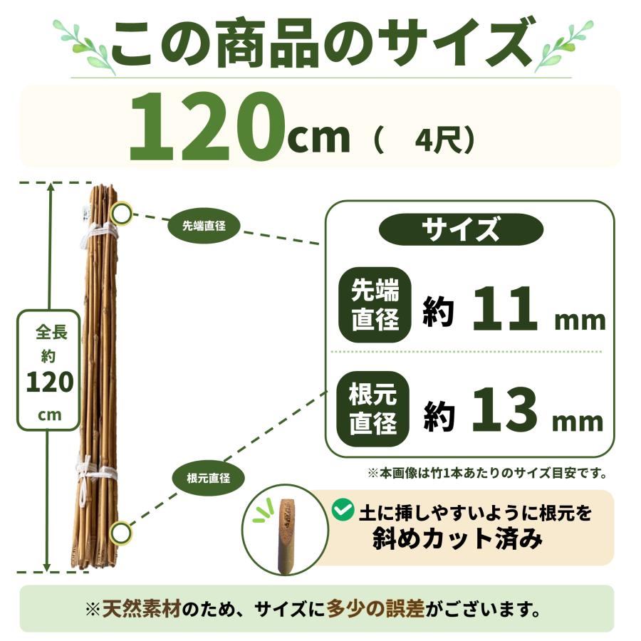 女竹 120cm 100本 篠竹 天然竹 竹支柱 添え木 園芸用 農業用 定植時