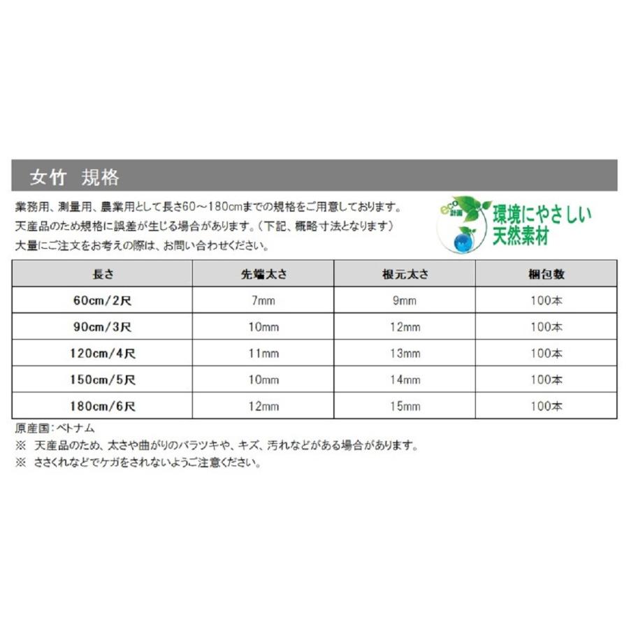 女竹 120cm 100本 篠竹 天然竹 竹支柱 添え木 園芸用 農業用 定植時