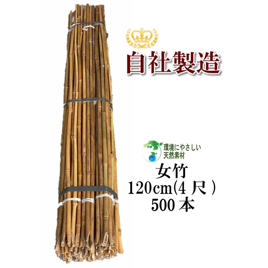 女竹 120cm 500本 篠竹 天然竹 竹支柱 測量用 測量用品 目印 農業用