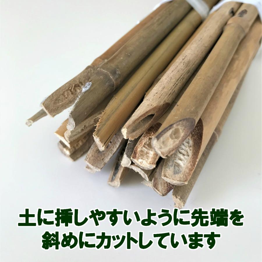 女竹 150cm 1000本 篠竹 天然竹 竹支柱 測量用 測量用品 目印 農業用 