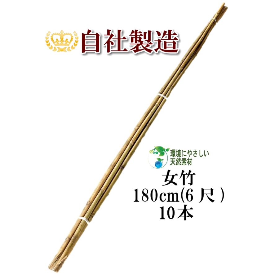 女竹 180cm 10本 篠竹 天然竹 竹支柱 添え木 園芸用 農業用 定植 女竹 180cm 10本 篠竹 天然竹 竹支柱 添え木 園芸用 農業用 定植