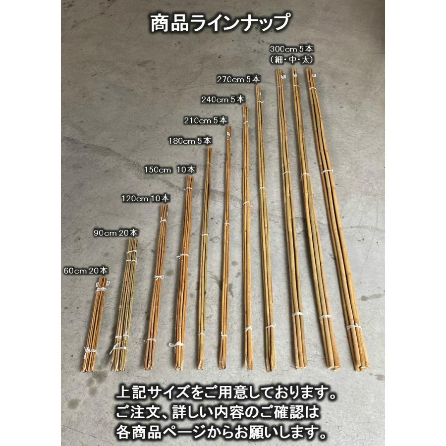 太物篠竹（女竹）12本セット 女竹 180cm 50本 篠竹 天然竹