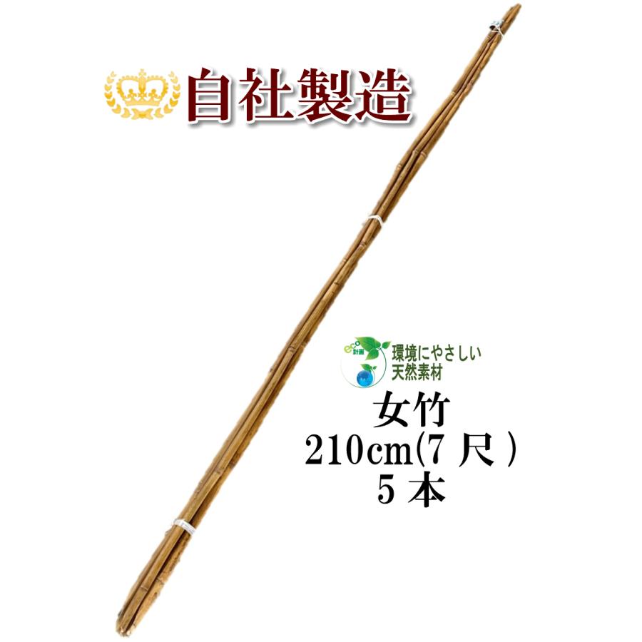 まさ／篠竹素材 10本SET 女竹 210cm 5本 篠竹 天然竹 竹支柱 添え木 園芸用 農業用 定植