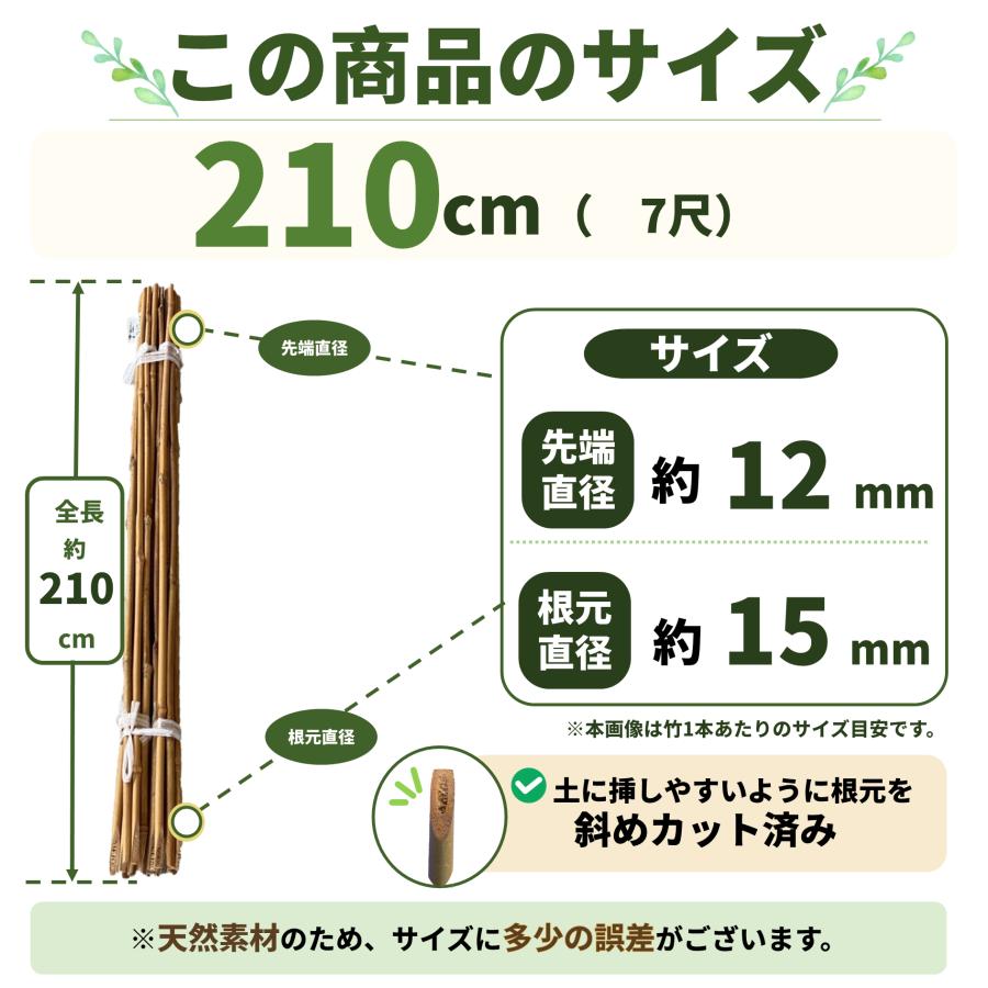 女竹 210cm 5本 篠竹 天然竹 竹支柱 添え木 園芸用 農業用 定植時支柱