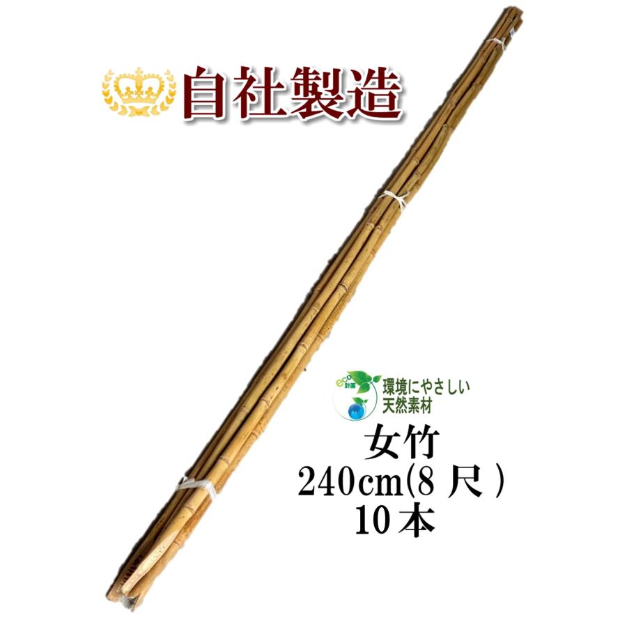 女竹 240cm 10本 篠竹 天然竹 建築用 建築資材 造園用 雪吊支柱 竹支柱