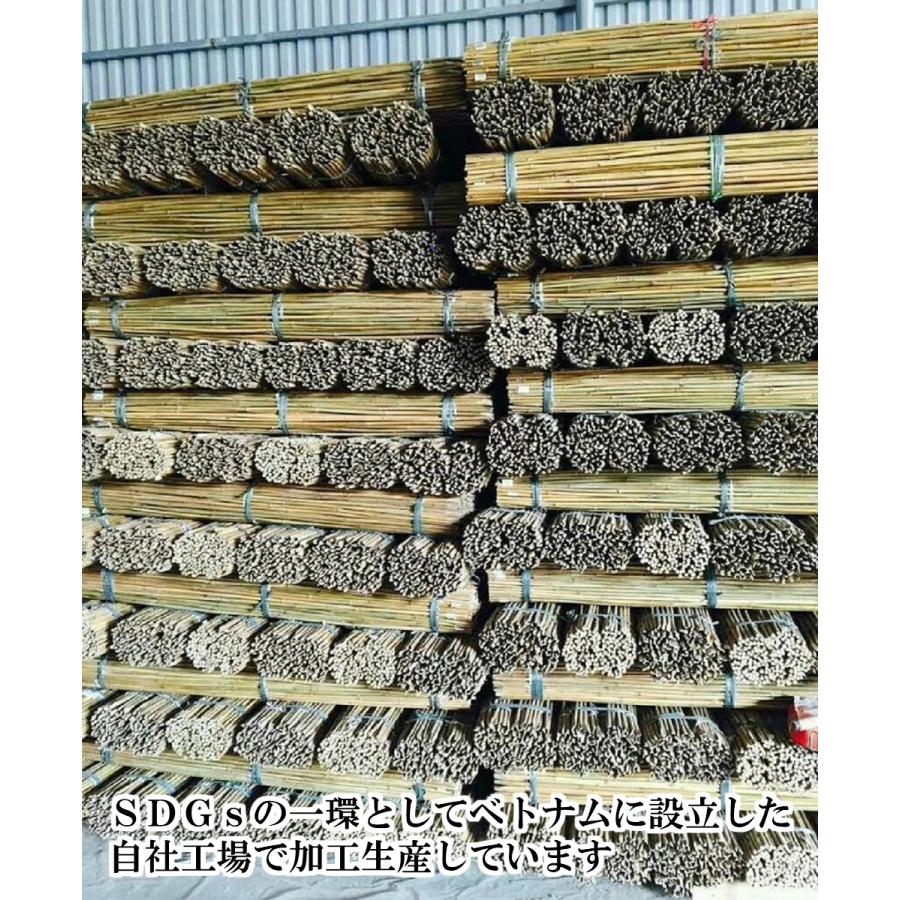 女竹 240cm 50本 篠竹 天然竹 建築用 建築資材 造園用 雪吊支柱 竹支柱