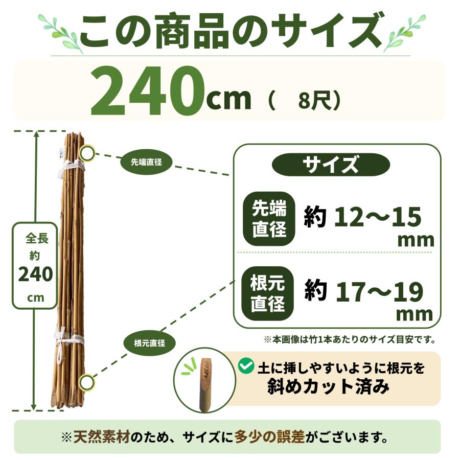 女竹 240cm 5本 篠竹 天然竹 建築用 建築資材 造園用 雪吊支柱 竹支柱